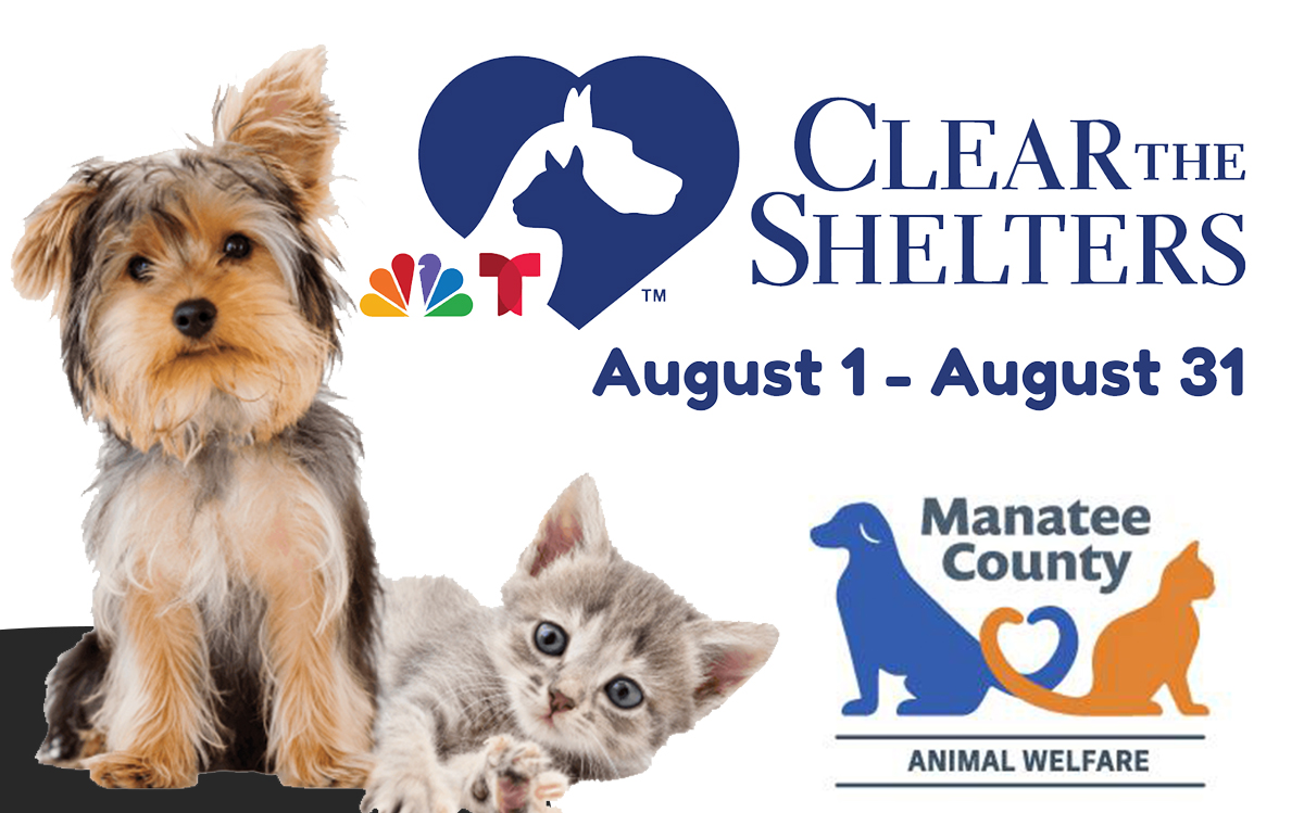 Clear The Shelter Day 2025